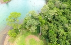 ITAIPU y el Smithsonian evalúan estrategias de conservación para especies del Bosque Atlántico con expertos